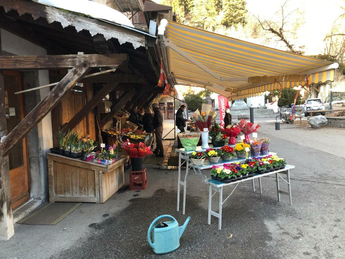 Appartamento Ecrins Etoile C9 Samoëns Esterno foto